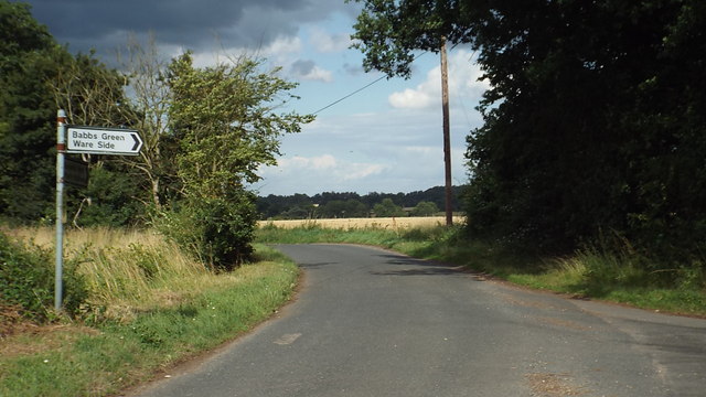 Country lanes near Ware