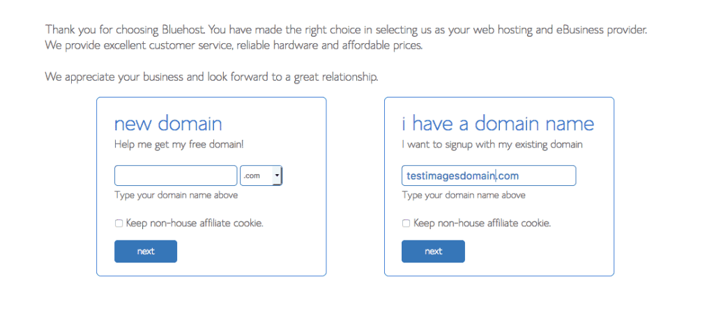 screenshot of Bluehost website page showing where to enter website domain